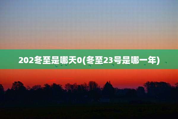 202冬至是哪天0(冬至23号是哪一年)