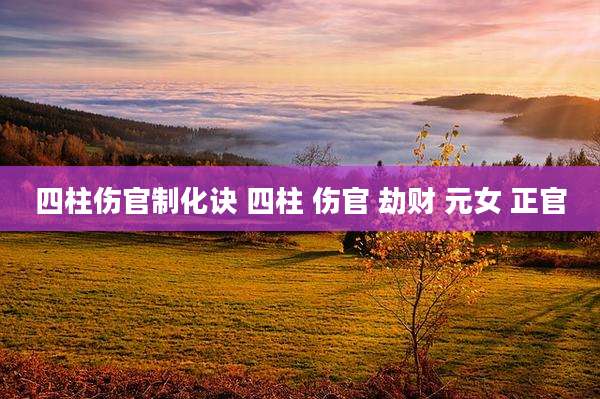 四柱伤官制化诀 四柱 伤官 劫财 元女 正官