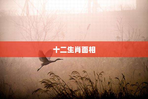 十二生肖面相