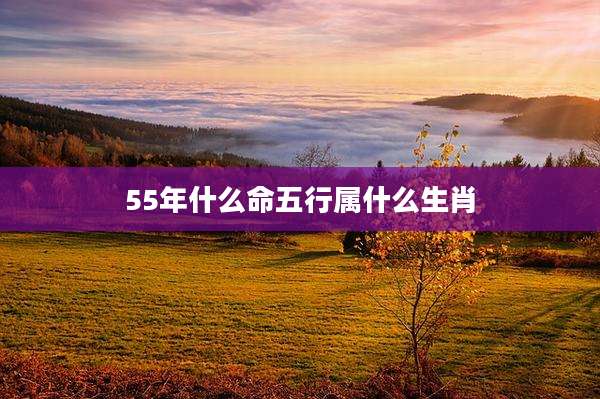 55年什么命五行属什么生肖