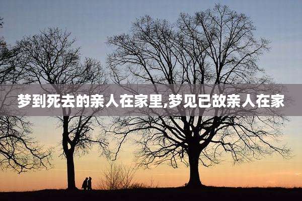 梦到死去的亲人在家里,梦见已故亲人在家