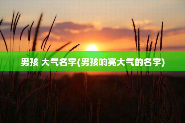 男孩 大气名字(男孩响亮大气的名字)
