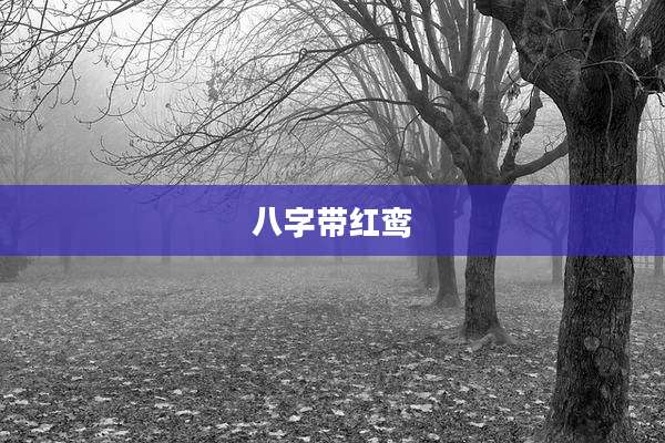 八字带红鸾