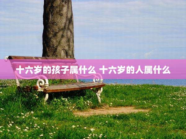 十六岁的孩子属什么 十六岁的人属什么