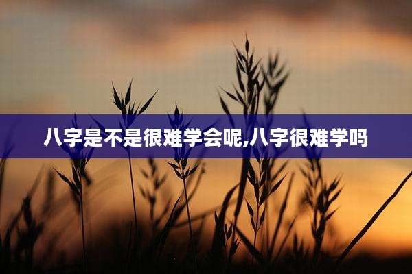 八字是不是很难学会呢,八字很难学吗