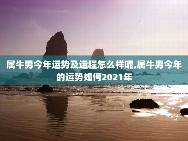 属牛男今年运势及运程怎么样呢,属牛男今年的运势如何2021年