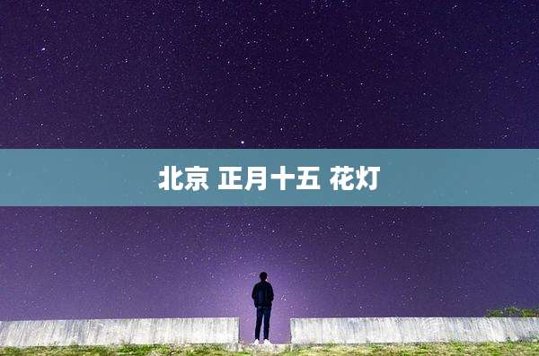 北京 正月十五 花灯