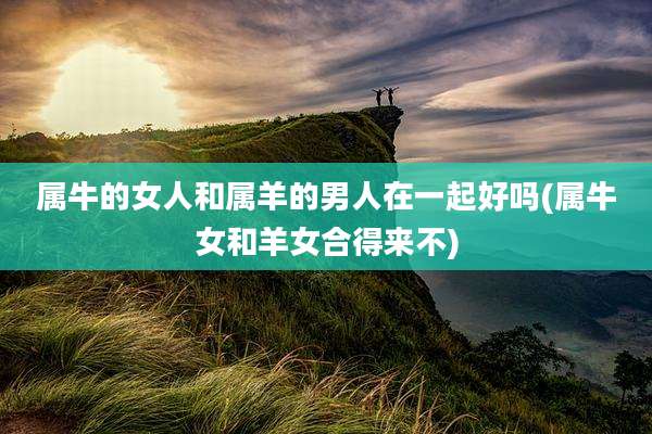 属牛的女人和属羊的男人在一起好吗(属牛女和羊女合得来不)
