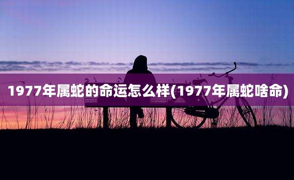1977年属蛇的命运怎么样(1977年属蛇啥命)
