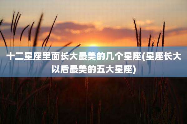 十二星座里面长大最美的几个星座(星座长大以后最美的五大星座)