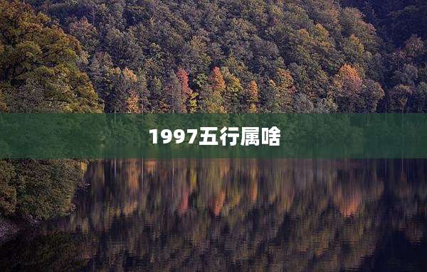 1997五行属啥