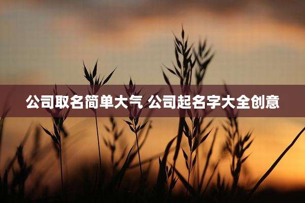 公司取名简单大气 公司起名字大全创意