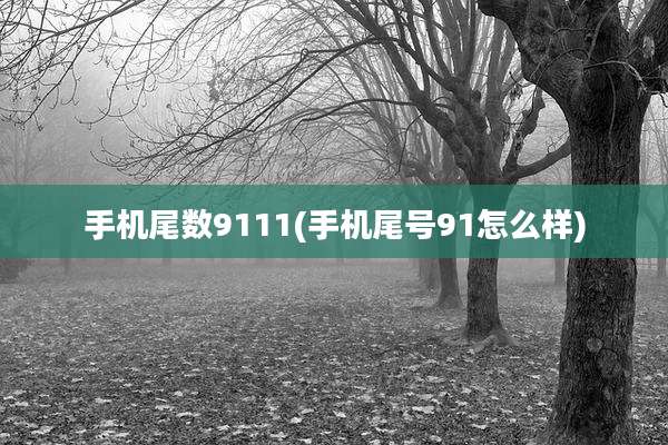 手机尾数9111(手机尾号91怎么样)