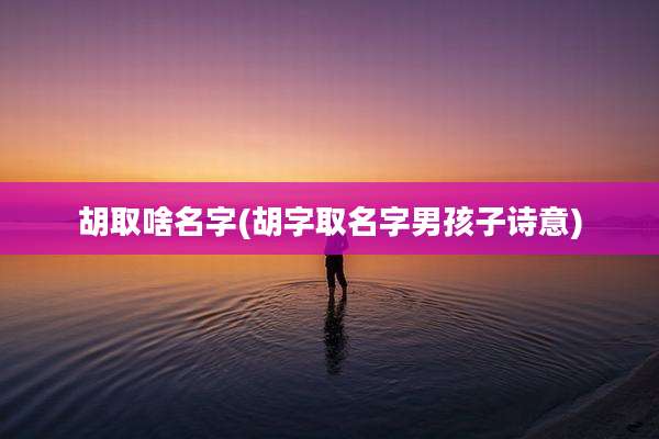 胡取啥名字(胡字取名字男孩子诗意)