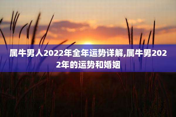 属牛男人2022年全年运势详解,属牛男2022年的运势和婚姻