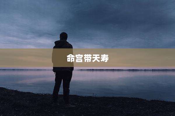 命宫带天寿