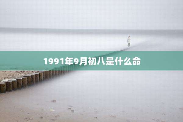 1991年9月初八是什么命