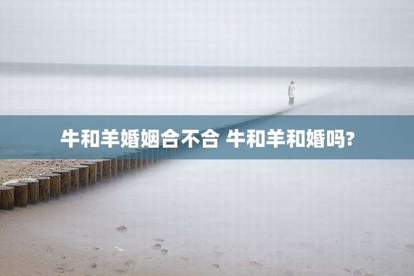 牛和羊婚姻合不合 牛和羊和婚吗?