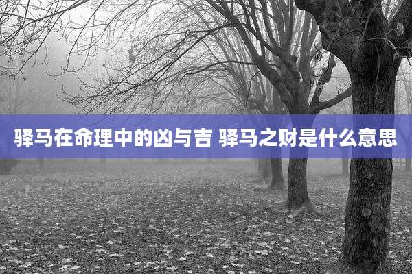 驿马在命理中的凶与吉 驿马之财是什么意思