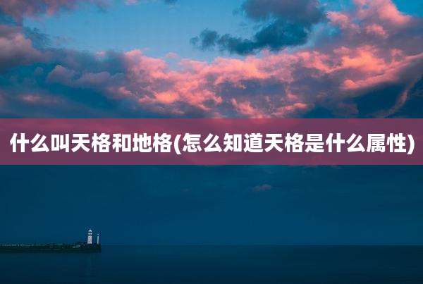 什么叫天格和地格(怎么知道天格是什么属性)