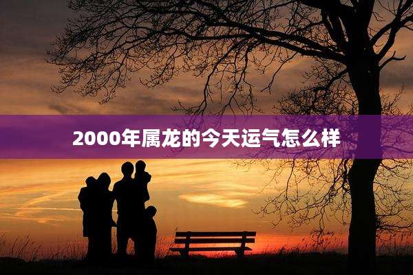2000年属龙的今天运气怎么样