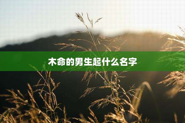 木命的男生起什么名字