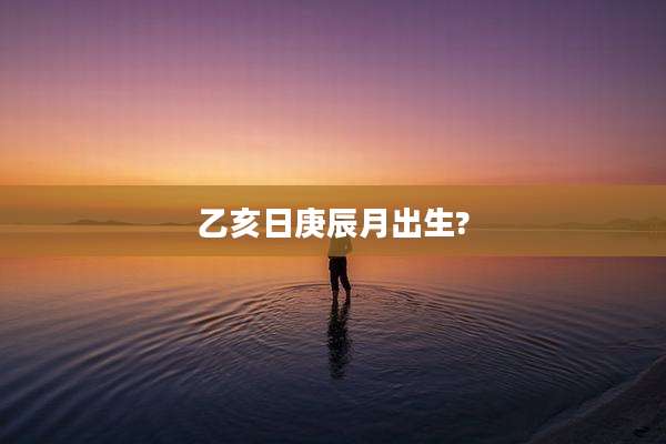 乙亥日庚辰月出生?