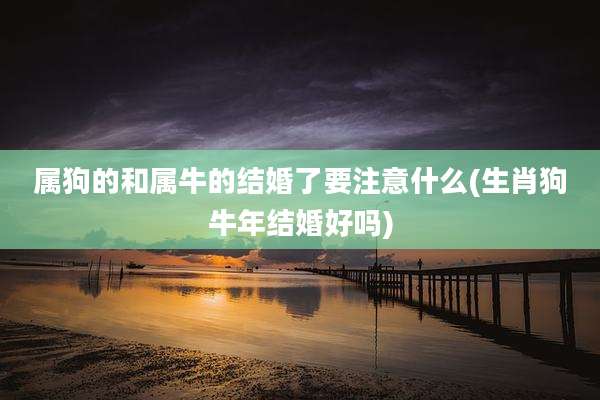 属狗的和属牛的结婚了要注意什么(生肖狗牛年结婚好吗)