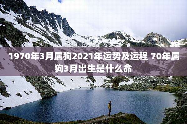 1970年3月属狗2021年运势及运程 70年属狗3月出生是什么命