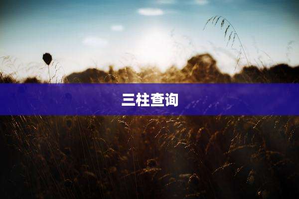 三柱查询