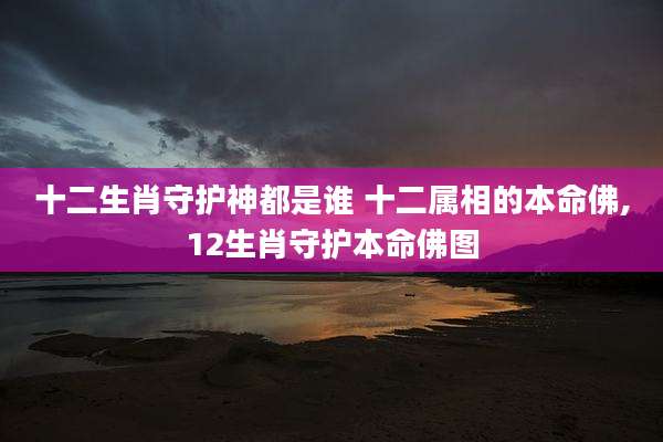 十二生肖守护神都是谁 十二属相的本命佛,12生肖守护本命佛图