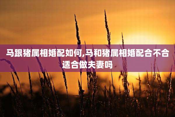 马跟猪属相婚配如何,马和猪属相婚配合不合适合做夫妻吗