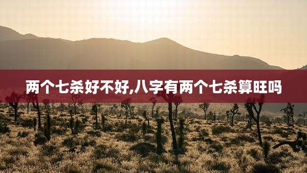 两个七杀好不好,八字有两个七杀算旺吗