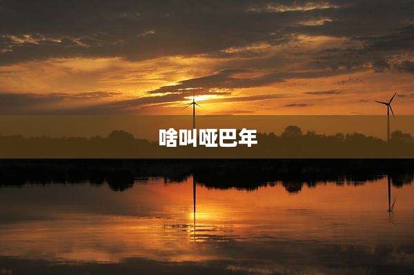 啥叫哑巴年