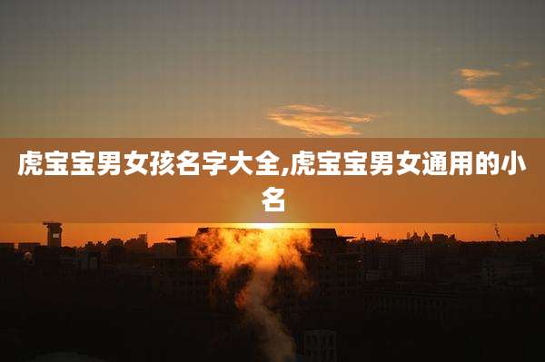 虎宝宝男女孩名字大全,虎宝宝男女通用的小名