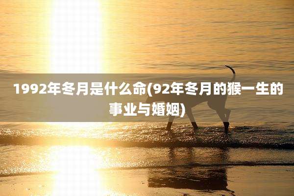 1992年冬月是什么命(92年冬月的猴一生的事业与婚姻)