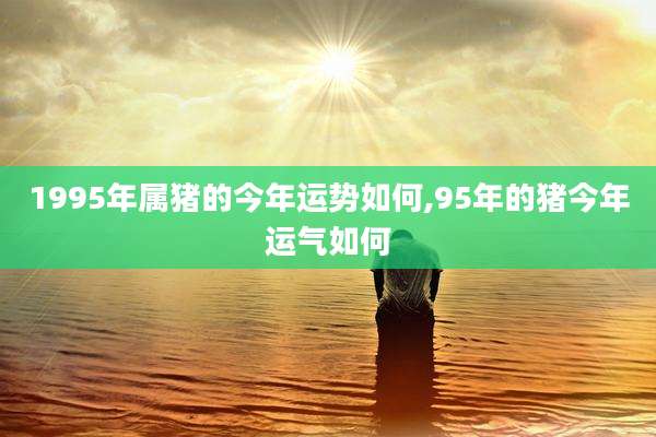 1995年属猪的今年运势如何,95年的猪今年运气如何