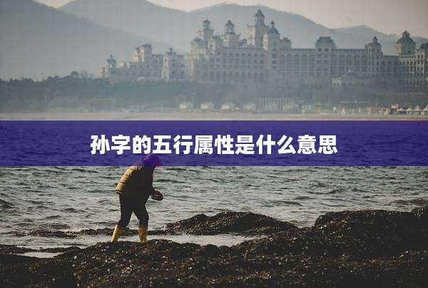 孙字的五行属性是什么意思