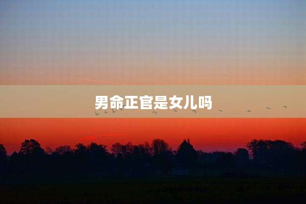 男命正官是女儿吗