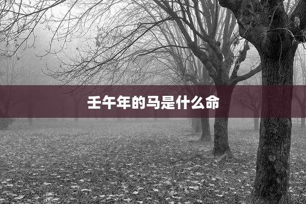 壬午年的马是什么命