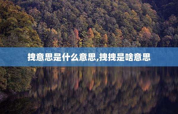 拽意思是什么意思,拽拽是啥意思