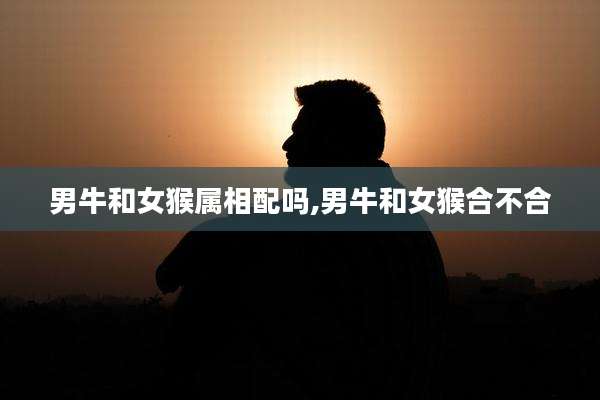 男牛和女猴属相配吗,男牛和女猴合不合