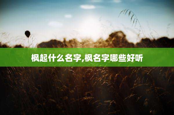 枫起什么名字,枫名字哪些好听