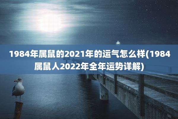 1984年属鼠的2021年的运气怎么样(1984属鼠人2022年全年运势详解)