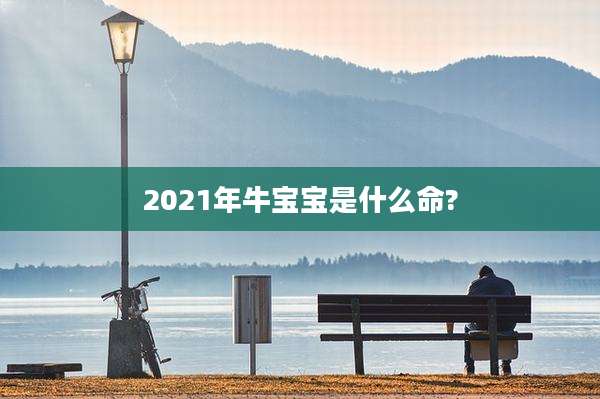 2021年牛宝宝是什么命?