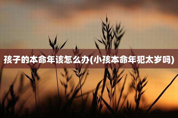 孩子的本命年该怎么办(小孩本命年犯太岁吗)