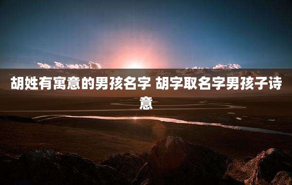 胡姓有寓意的男孩名字 胡字取名字男孩子诗意