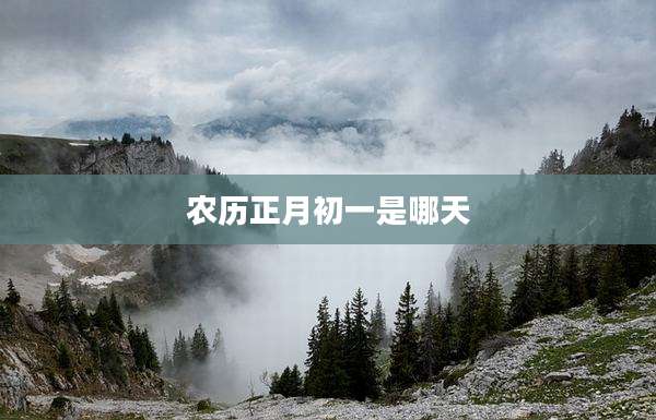 农历正月初一是哪天