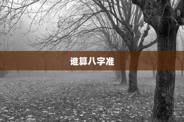 谁算八字准