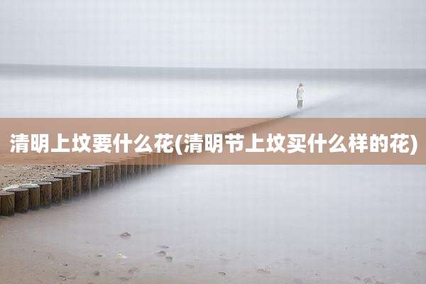 清明上坟要什么花(清明节上坟买什么样的花)